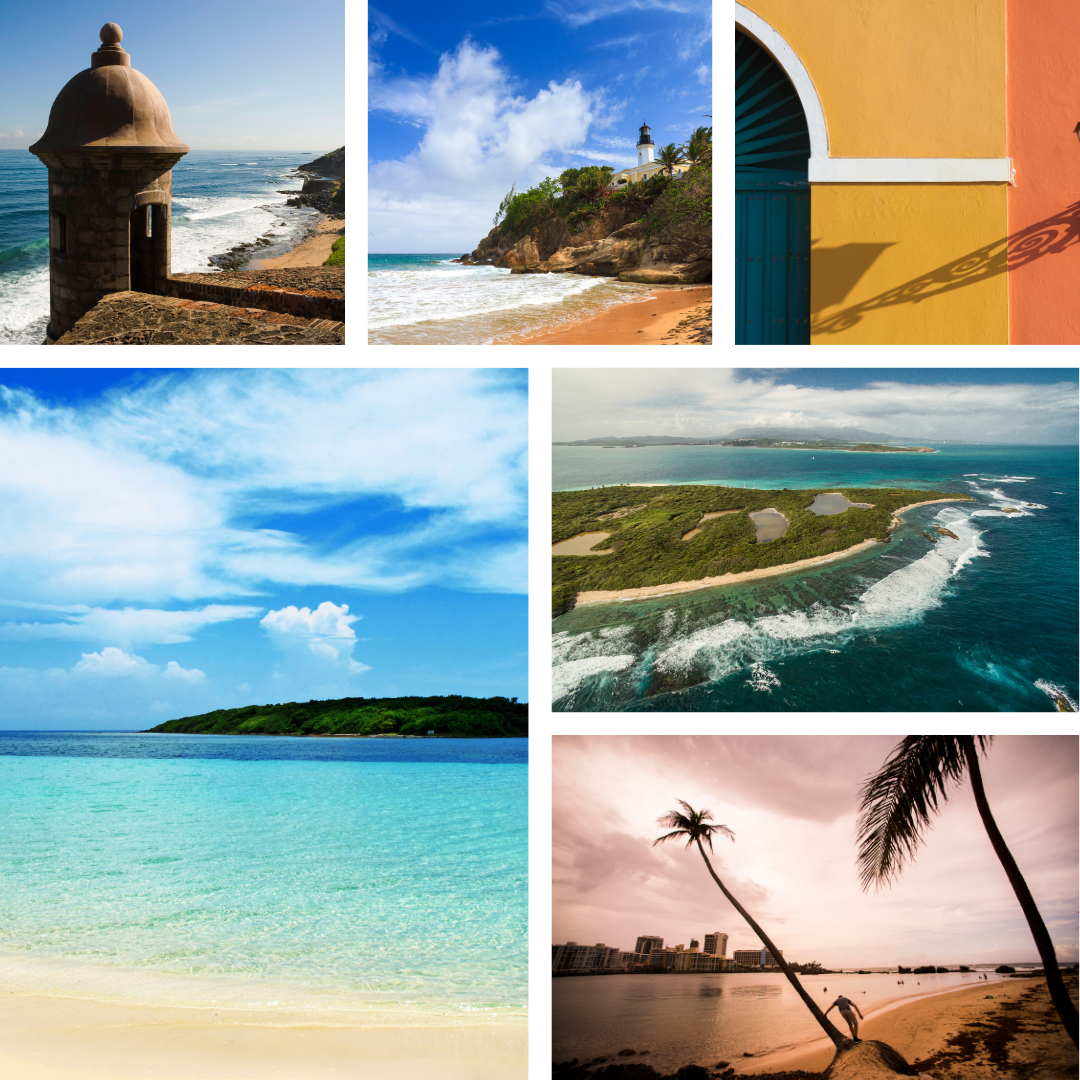🏝️ Isla del Encanto Wax Melt