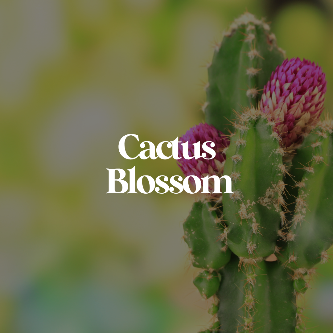 🏜 Cubo de cera aromática "Desierto de Arizona"