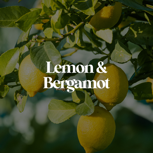 Lemon & Bergamot (NEW)