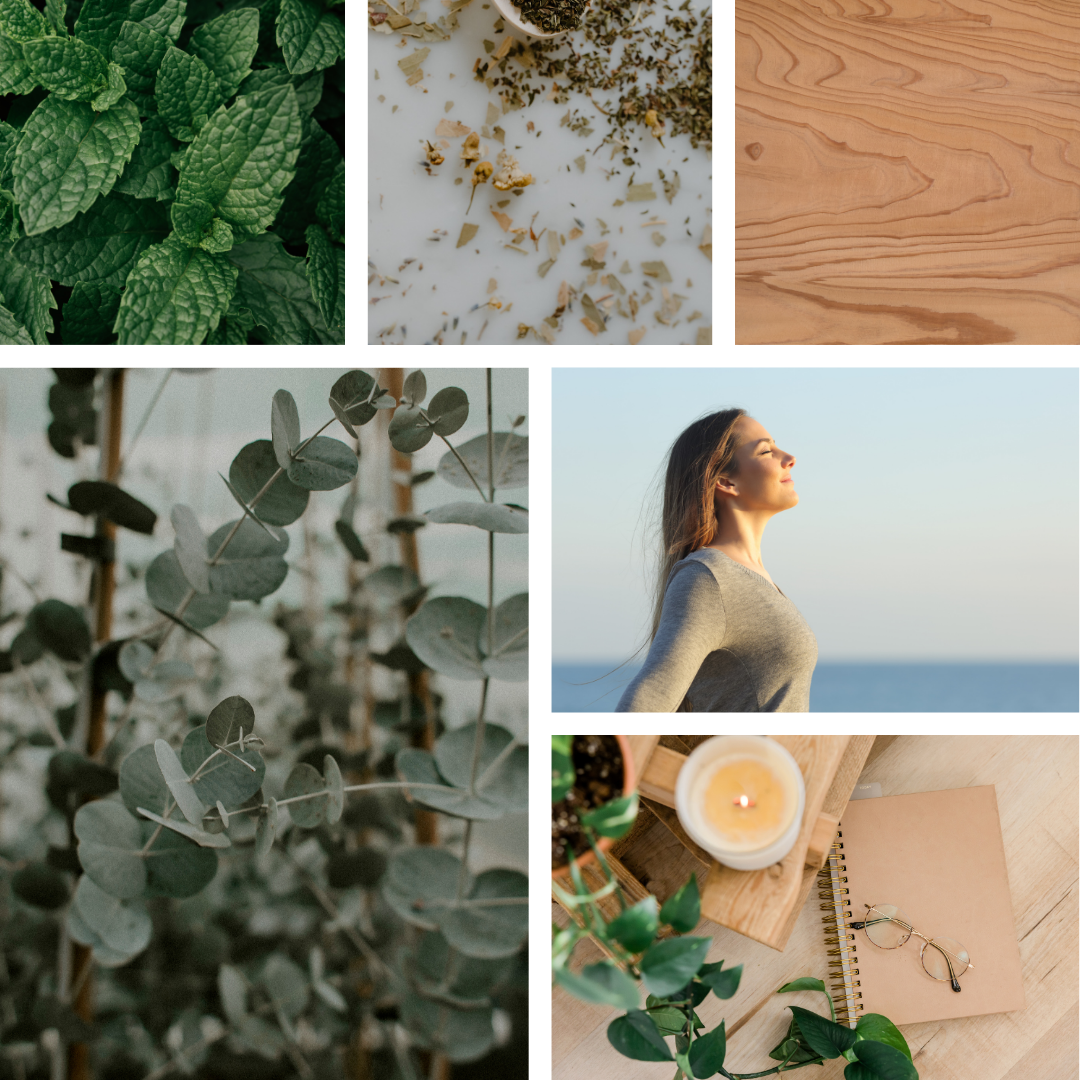 Eucalyptus and Peppermint