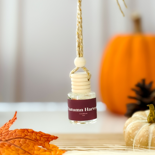 Fall/ Winter Car Diffuers