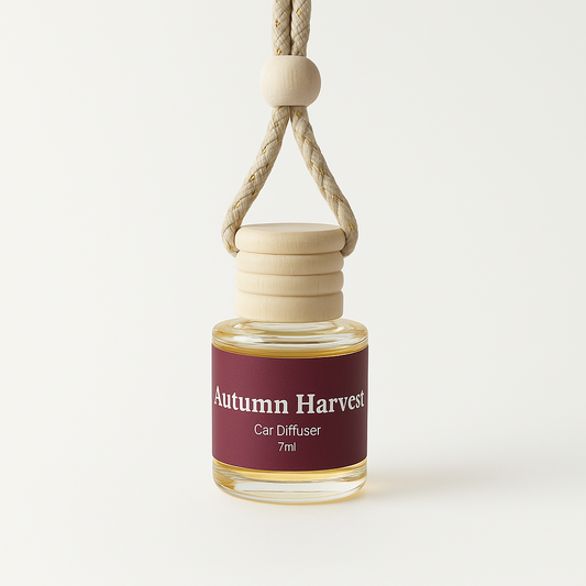 Fall Season Car Diffuers