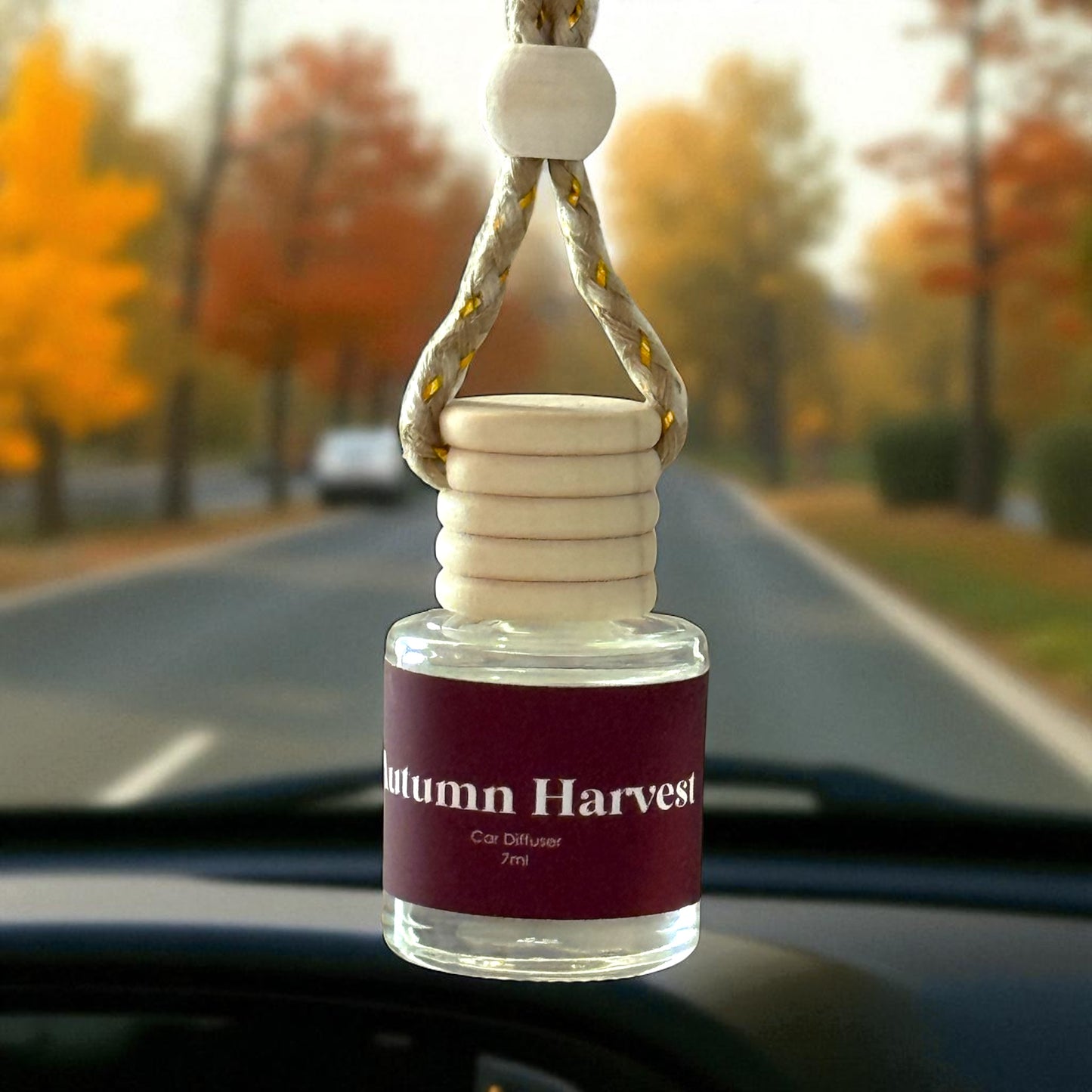 Fall/ Winter Car Diffuers