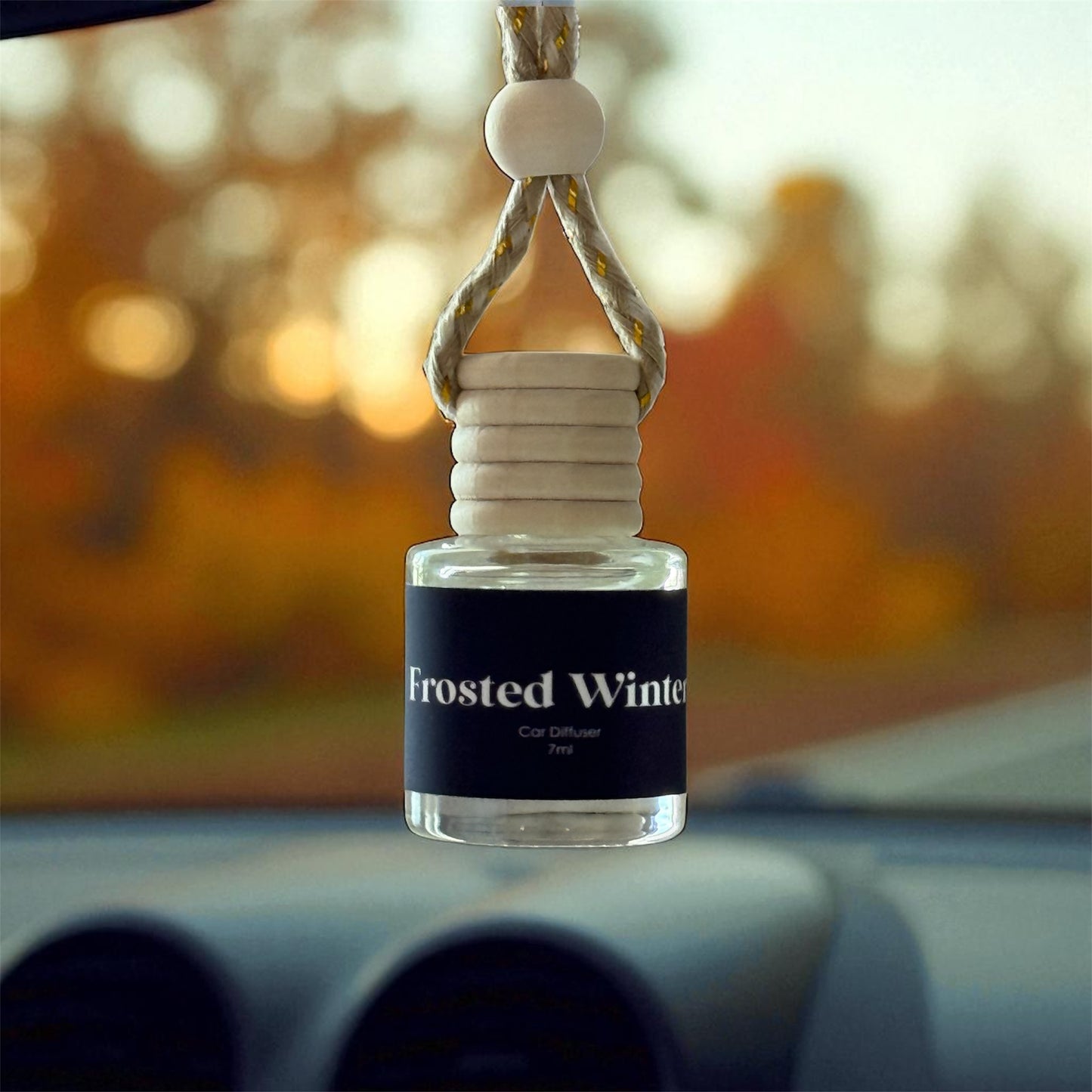 Fall/ Winter Car Diffuers
