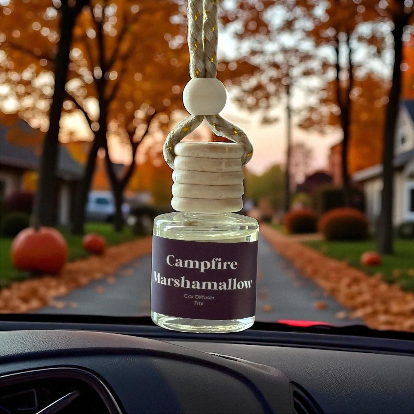 Fall/ Winter Car Diffuers