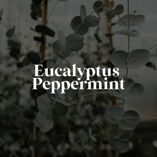 Eucalyptus & Peppermint Wax Melt