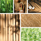 Bamboo and Coconut