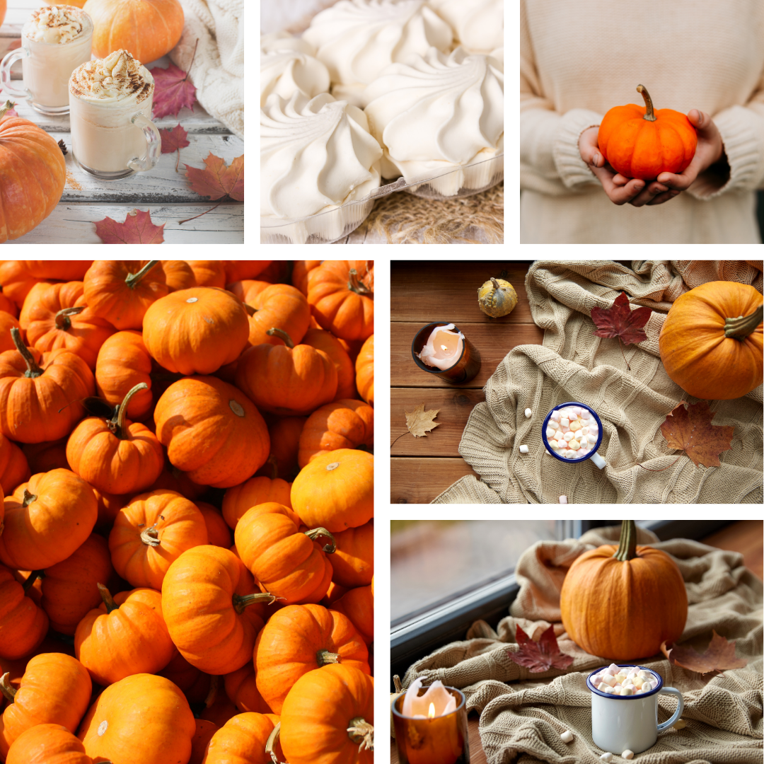 Vanilla Pumpkin Marshmallow(Limited Time)(Signature Fall)